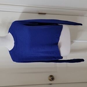Divided Size M Short (almost Cropped) Boxy Cobalt Blue Long Sleeve Sweater